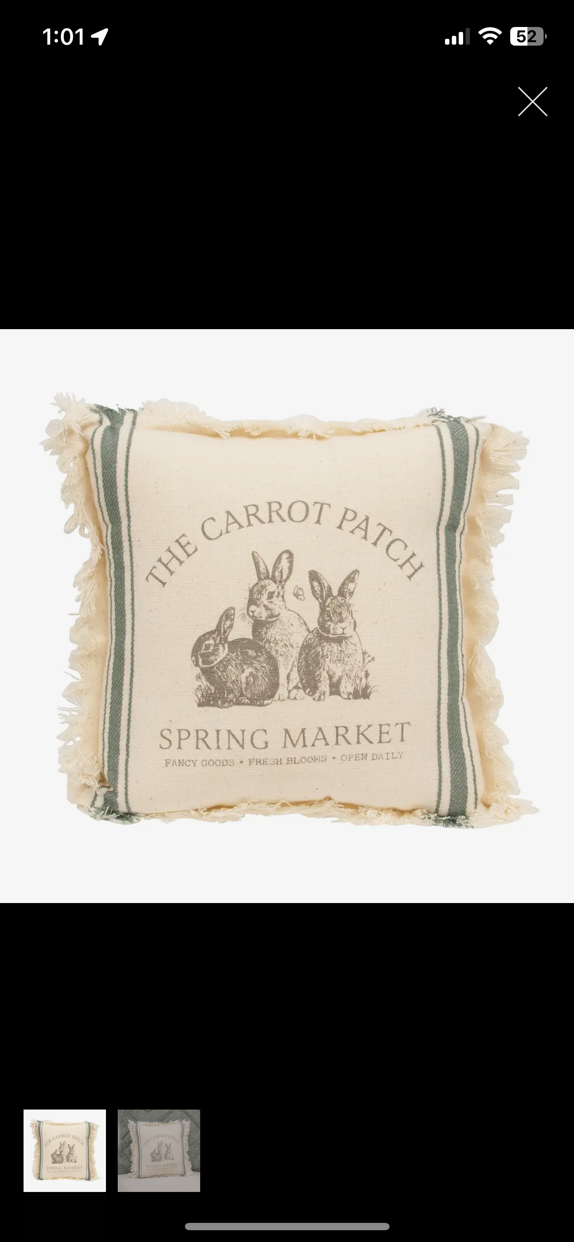 The Carrot Patch Sack Stripe Pillow