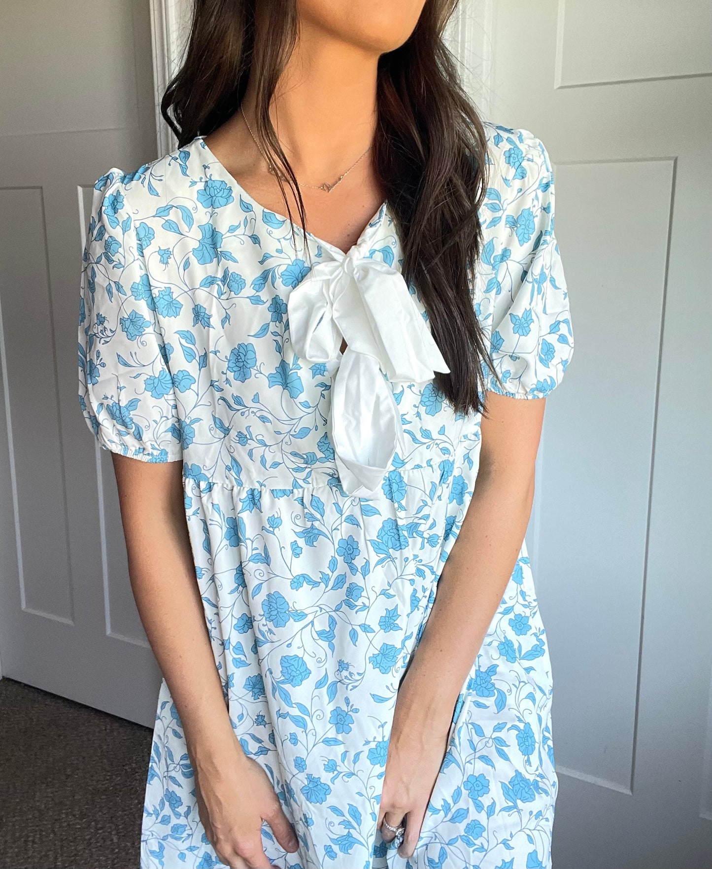 Bow Knot Bubble Sleeve Dress
