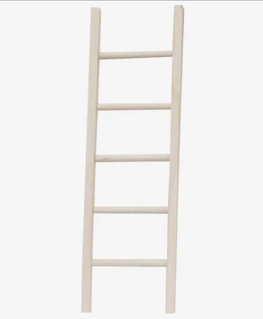 White Finish Wooden Decor Ladder