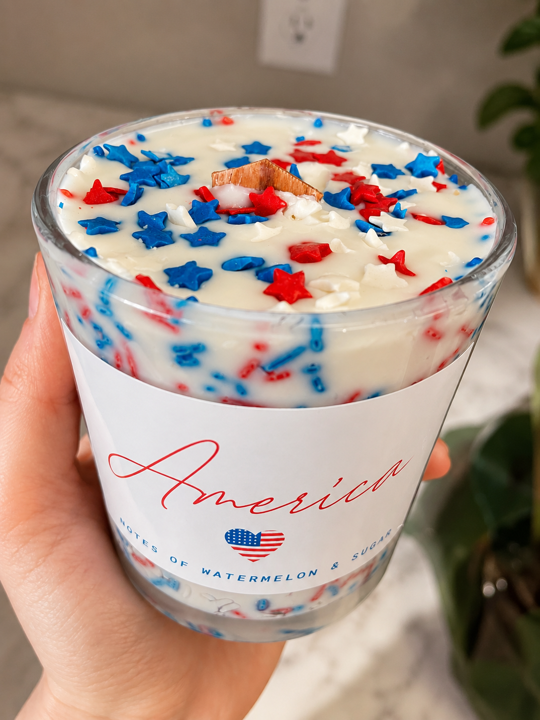 10oz America Soy Wax Candle