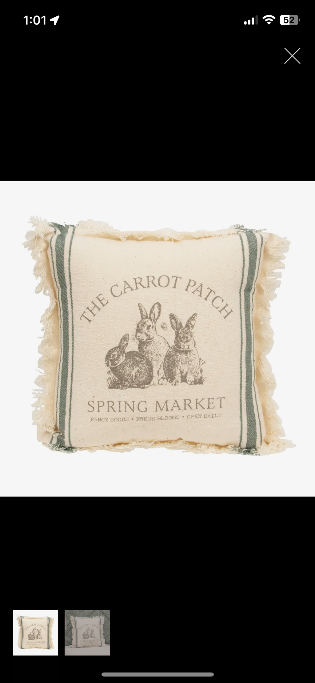 The Carrot Patch Sack Stripe Pillow